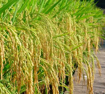 1496834028316947.jpg QQ截图20170607185739.jpg