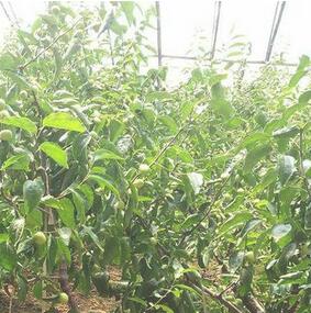 1496835059211490.jpg QQ截图20170607192802.jpg