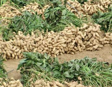 1496835555379808.jpg QQ截图20170607193727.jpg