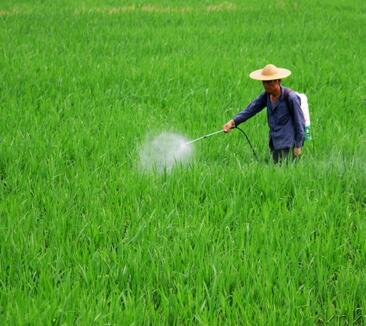 1496975388958537.jpg QQ截图20170609102618.jpg