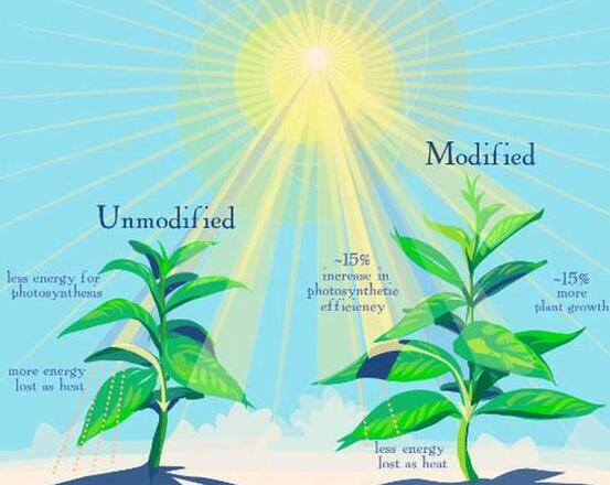 1496978645509417.jpg QQ截图20170609112209.jpg