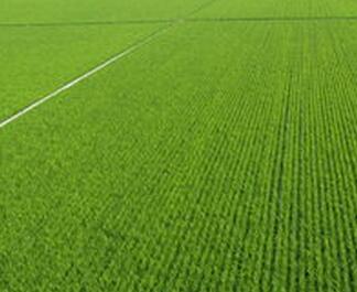 1496979145752677.jpg QQ截图20170607190028.jpg