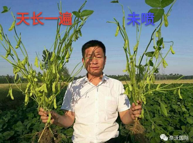 增产神器,天长地久,奈沃国际 增产神器,天长地久,奈沃国际