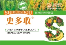 种植当归时的注意事项